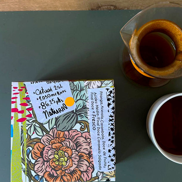 Pilar x Dora - Café Doce Tropical