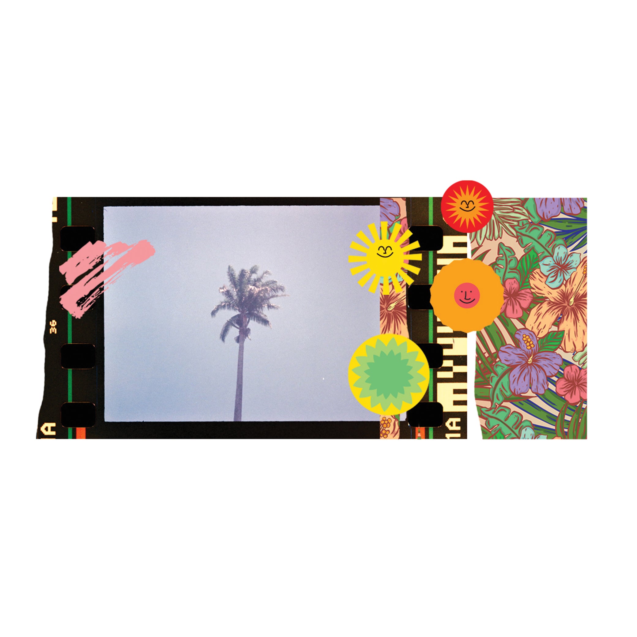 Print Fine Art - Tropic Morning