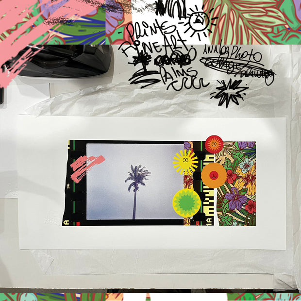 Print Fine Art - Tropic Morning