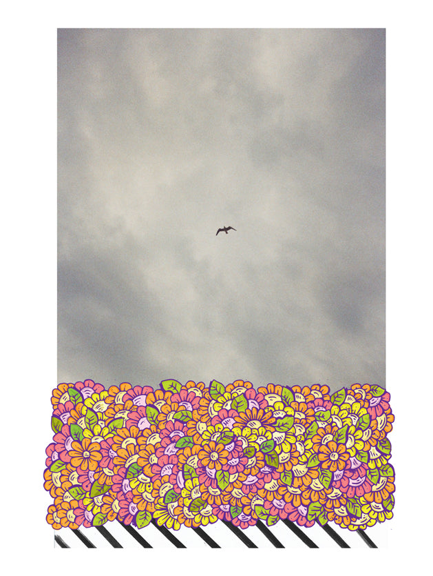 Print Fine Art - Gaivota