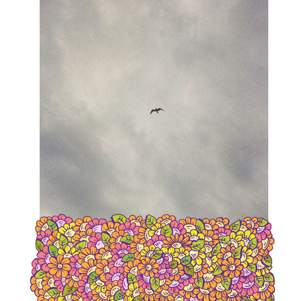 Print Fine Art - Gaivota