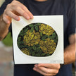 Print Fine Art - Pieces #4